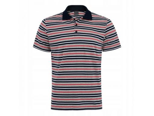 Koszulka polo w paski-polski producent-imako r.xl