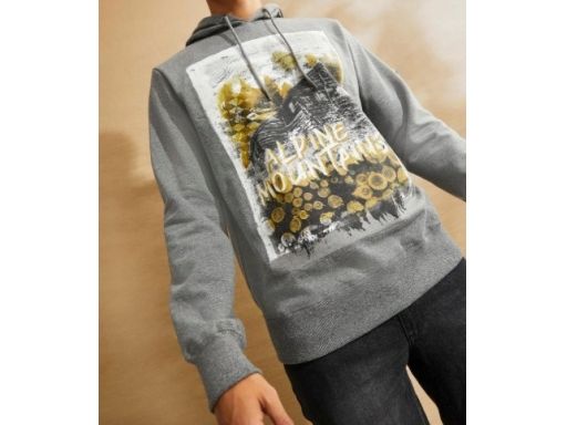 B.P.C bluza męska szara z nadrukiem r.L