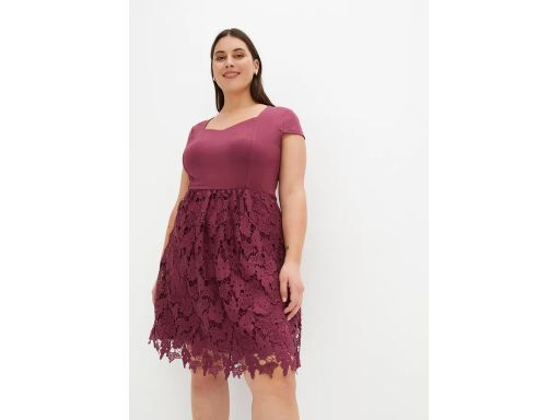 B.P.C sukienka koronkowa jeżynowa fiolet 32/34.