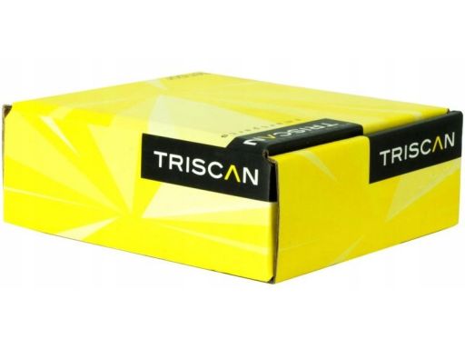 8500 105003 Wahacz Ford T. Focus Ii 1,4-2,5 03- Le/P Triscan